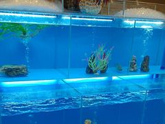 -怡咖啡·自助餐·西安香格里拉