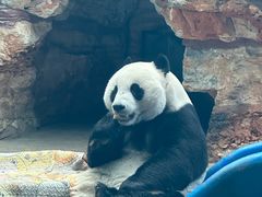 -石家庄市动物园