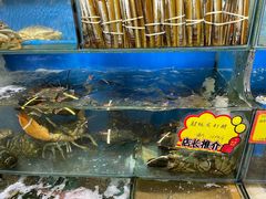 -蚝专家(北滘店)
