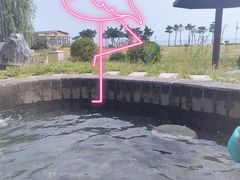 -青岛海泉湾度假区温泉