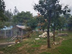-西安秦岭野生动物园