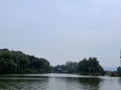 -东方巨龟苑景区