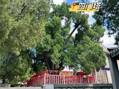 -四门塔风景区