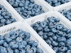 -南坛综合农贸市场