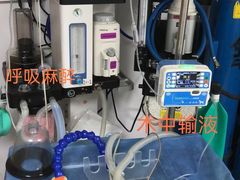 -咕噜咕噜宠物医院·CT·肿瘤科·骨科(前海院)