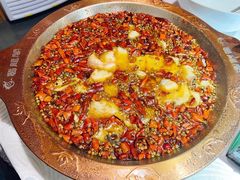 -雲蜀龙阁·金牌水煮鱼(方庄店)