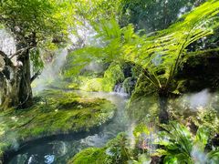 -Chom Cafe and Restaurant