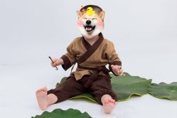 -小熊维尼高端儿童摄影(南山信和店)