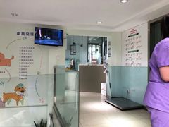 -瑞派申生动物医院·24H夜诊·国际动物医疗中心·骨外科(吴中路店)