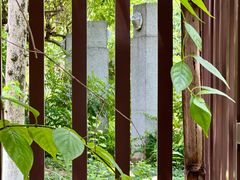 -广州神农草堂中医药博物馆