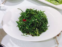 炝拌沙葱-老毛手抓·盐池滩羊非遗手抓(宁夏总店)