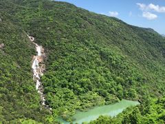 -玉苍山国家森林公园
