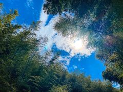 -南京市无想山景区