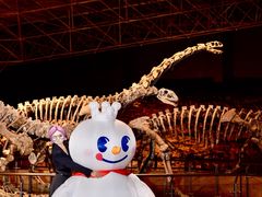 -世界恐龙谷景区