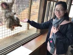 -岚山猴子公园