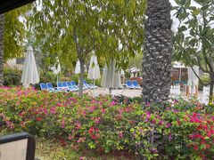 -亚特兰蒂斯水世界冒险乐园