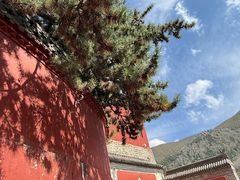 -五台山风景名胜区-罗睺寺