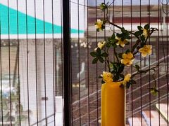 -傑·料理·海鲜放题(佛山文华荟店)