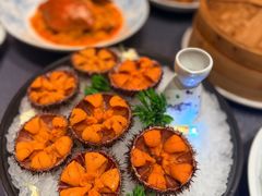 -连鹭海鲜·海肠捞饭·海胆饭(星海店)