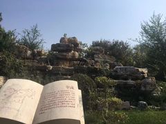 -武清南湖绿博园