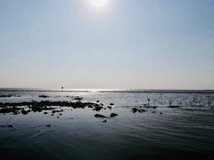 -苏州太湖湖滨国家湿地公园