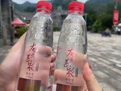 -悦城龙母祖庙