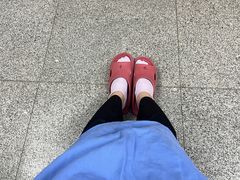 -南方医科大学南方医院(院本部)