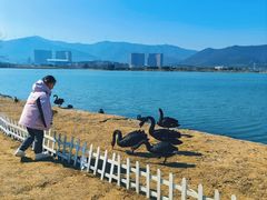 -长兴太湖图影湿地文化园