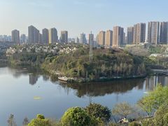 -重庆彩云湖湿地公园