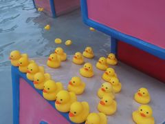 -巨鹏飞梦幻海岸
