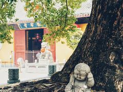 -龙华寺
