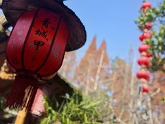 -青城甲(青城山店)