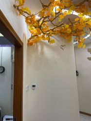 点击看大图 -芳朵美容养生SPA