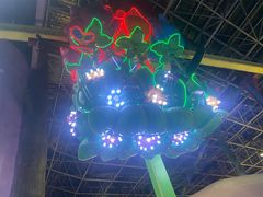 -横店影视城梦幻谷园区