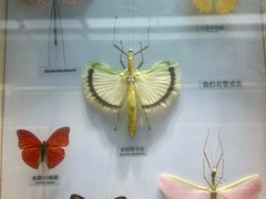 -大连自然博物馆