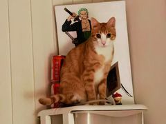 -东北酱骨头馆(蓁巷店)