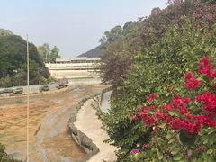 -广州市帽峰山景区