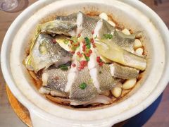 -1937青岛老味道·海肠捞饭·青岛菜(大鲍岛栈桥店)