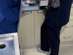 -哆趣宠物医院·眼科·内镜·急重症转诊中心(上海店)