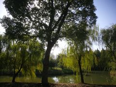 -梁鸿国家湿地公园