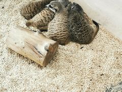 -海合安武汉极地海洋公园