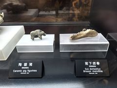 -河姆渡遗址博物馆