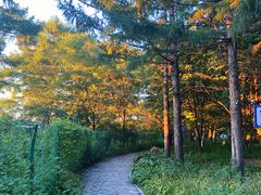 -长春市南湖公园