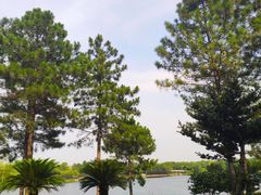 -美兰湖景区