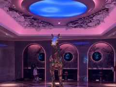 -纯K(打浦桥店)