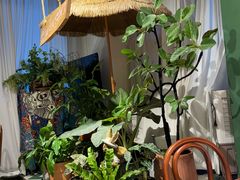 -Thai Basil罗勒叶泰式餐厅(时代天街店)