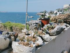-东极岛景区