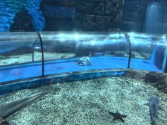 -福州罗源湾海洋世界旅游区