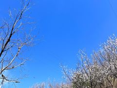 -妙峰山风景名胜区