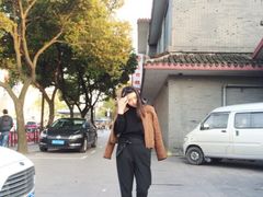 -嘉定紫藤园